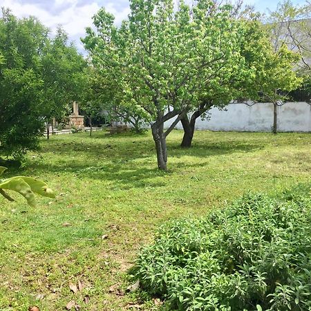 Salento Appartamenti Casalabate Exterior photo